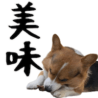 Corgi Wow Sticker