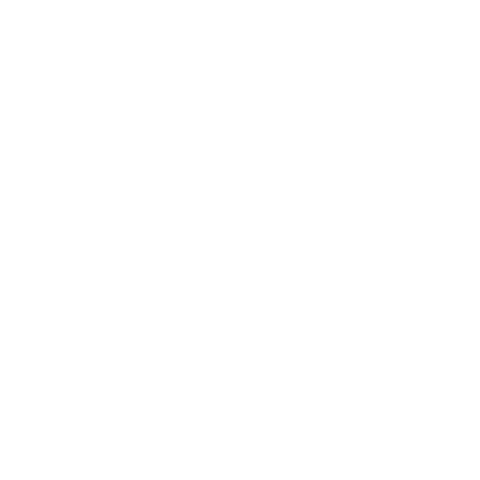 Euro2020 Sticker by dfbvolunteer