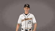 Baseball Calstatela GIF by Cal State LA Golden Eagles