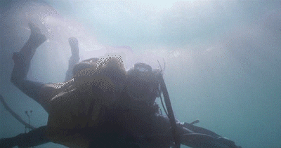 the diving bell and the butterfly GIF