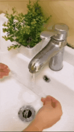santiagolopezea3b62cb4ef347e3ab14f6332781e67d giphygifmaker zucra shop GIF