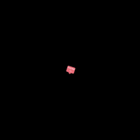 PinkClove  GIF