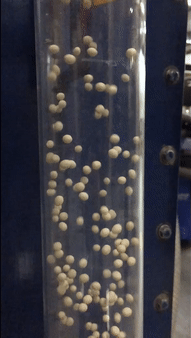 spheres GIF