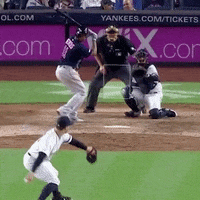 Jomboy  GIF