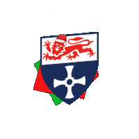 Merry Christmas Sticker by Newcastle University