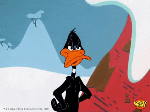 Daffy Duck No GIF by Looney Tunes