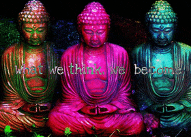 drugs tripping GIF
