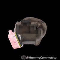 Coin Vape GIF by Sad Hamster