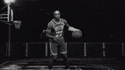 Boston Celtics Sport GIF by NBC Sports Boston