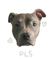 Staffy Sticker