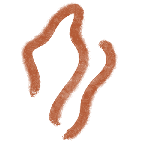 Cactus Phula Sticker by Nat Fleitas