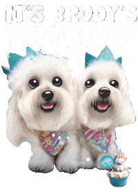 Happy Birthday Sticker by HammyandBrody