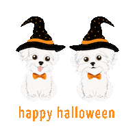 Halloween Fall Sticker by HammyandBrody