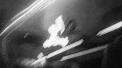 night motion GIF by rolfes