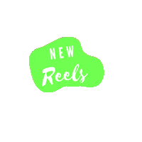 Rainbow Stickers Sticker