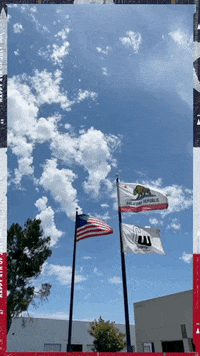 Happy United GIF by Contractors Wardrobe