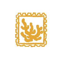 Stamp Coral Sticker by Katoomba Christian Convention