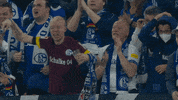 Happy Football GIF by FC Schalke 04