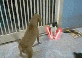GIF by Demic