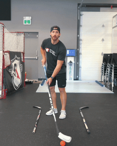 Stickhandling Drills GIF by Hockey Training