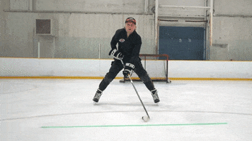 Hockey Dangles Stickhandling GIF by Hockey Training