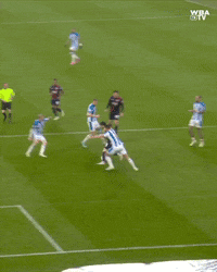 West Brom Football GIF by West Bromwich Albion