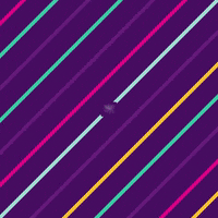 GIF by Loughborough Students' Union
