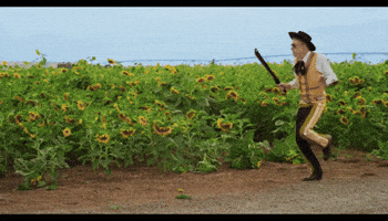 cowboy GIF