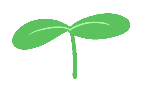 Flower Leaf Sticker