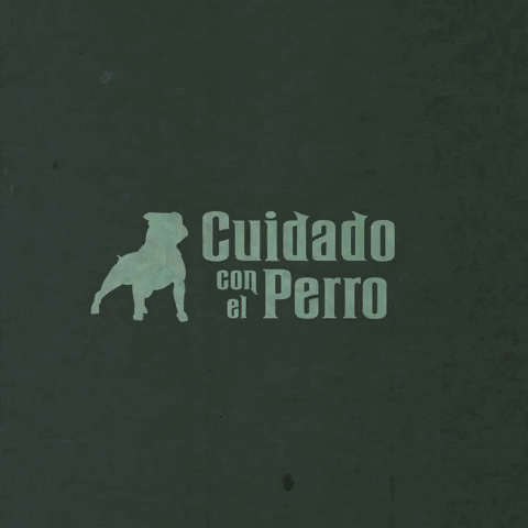 lidiaestepa giphyupload GIF