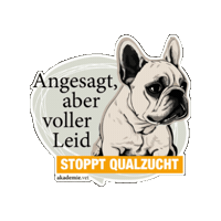akademievet  Sticker