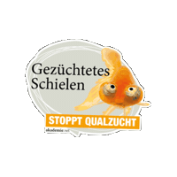 akademievet  Sticker