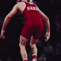 Wrestling GIF
