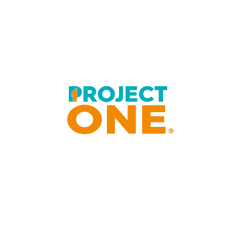 ProjectOneRoofingUSA giphyupload texas colorado roof Sticker