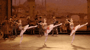 Enblecorsaire GIF by English National Ballet