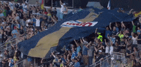 GIF by Philadelphia Union