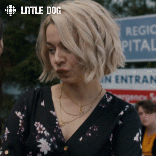 little dog yes GIF by CBC