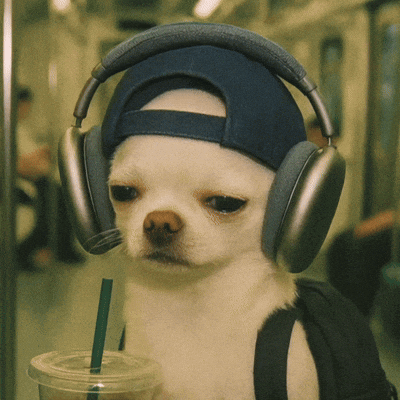 chiroroharu dog work puppy tired GIF