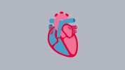 GIF by British Heart Foundation