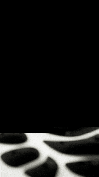 Titans Cce GIF by Element Boulders Munich