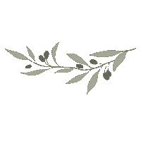 Olive Oil Plant Sticker