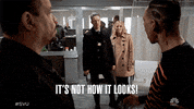 Not How It Looks GIF by SVU