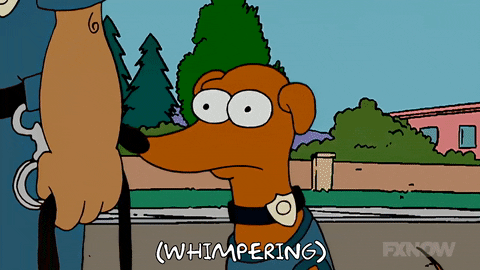 Season 18 Episode 20 GIF by The Simpsons