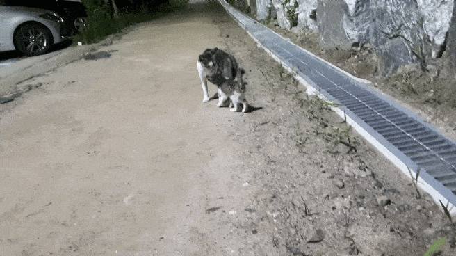 sophiasonge92b giphyupload GIF