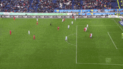 1 fc cologne football GIF by 1. FC Köln