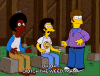 homer simpson GIF