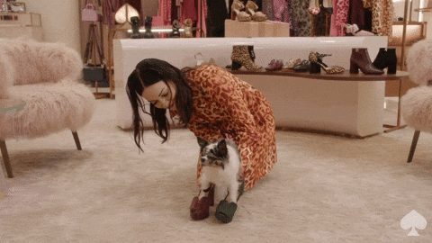 Kate Spade GIF by kate spade new york