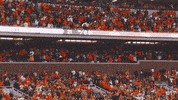College Football GIF by Wisconsin Badgers