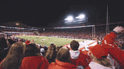 College Football GIF by Wisconsin Badgers