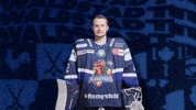 Celebration Hockey GIF by Iserlohn Roosters